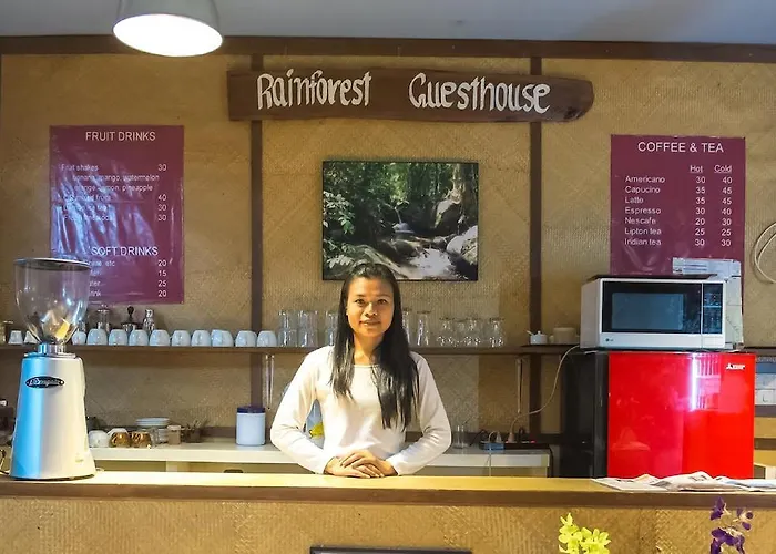 Rainforest Guest House