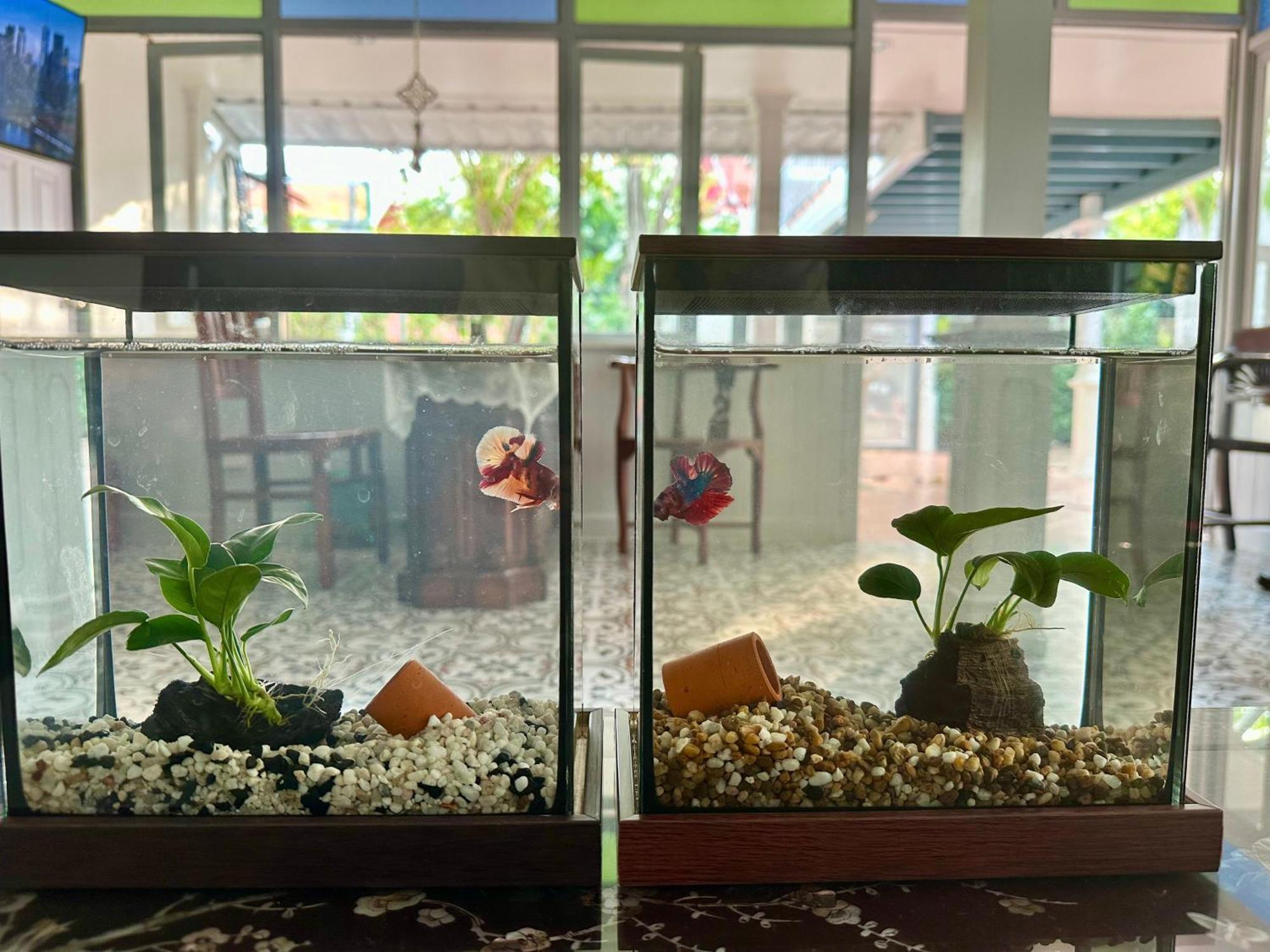 Hotel Baan Debtida Bangkok