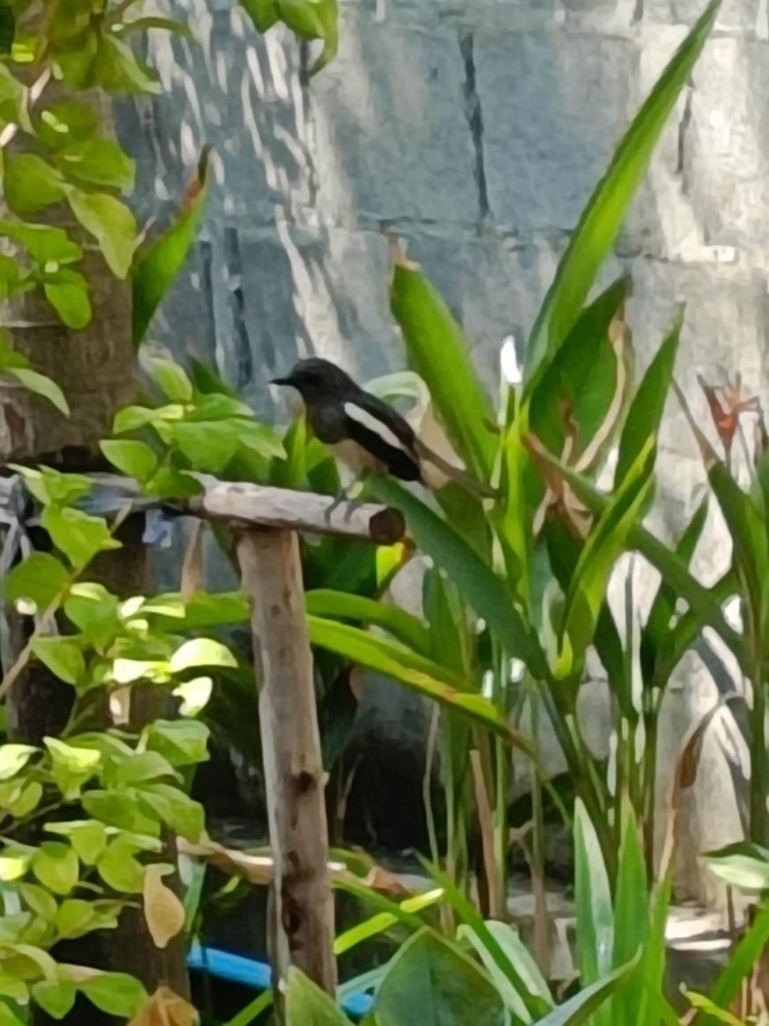 Baan Debtida * Bangkok
