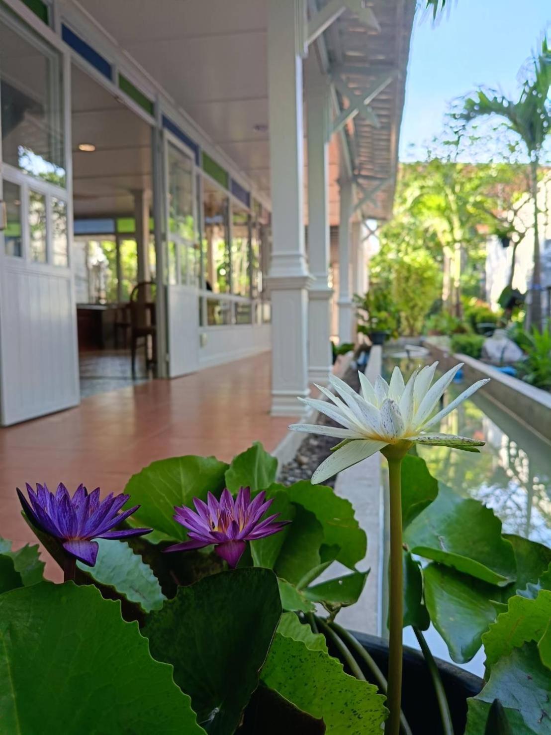 Baan Debtida * Bangkok