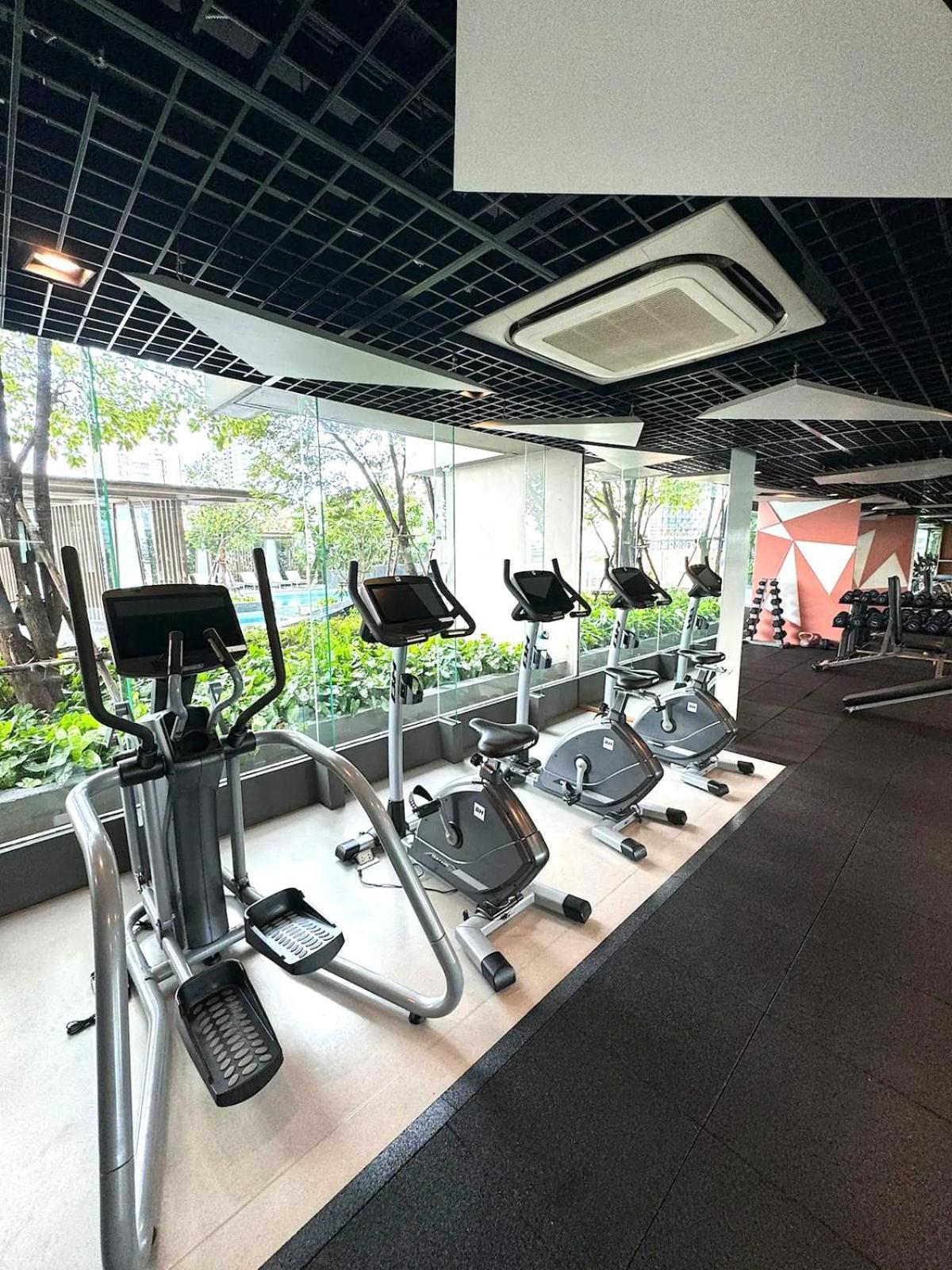 The Elite Club - Thonglor