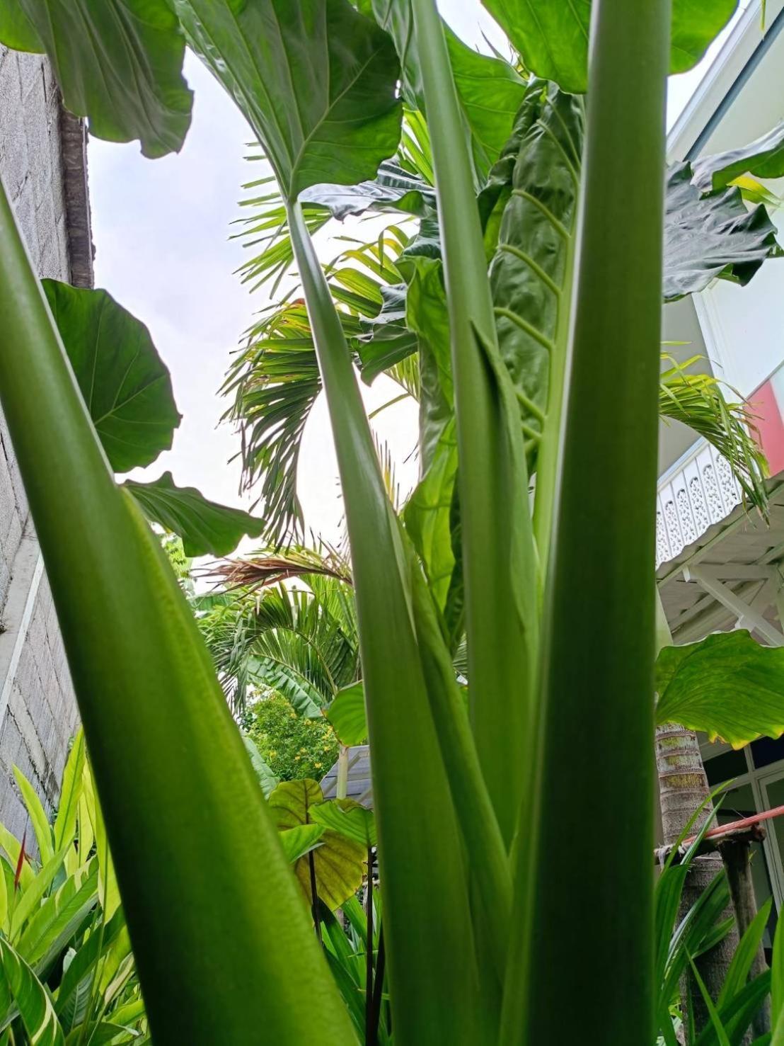 Baan Debtida * Bangkok