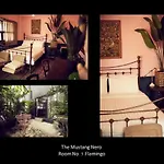 The Mustang Nero Hotel
