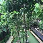 The Cube Hostel Silom