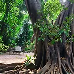 Cozycomo Bangkok