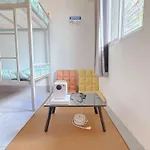 Regalohome Br