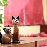 Thai Cat Hostel