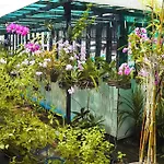 Kaloang Home