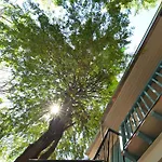 La Moon Hostel