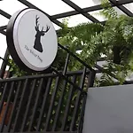 The Silver Stag 9Mins Jjmarket,Bts,30Mins Dmk