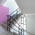 Oyo 801 Inndy Suite