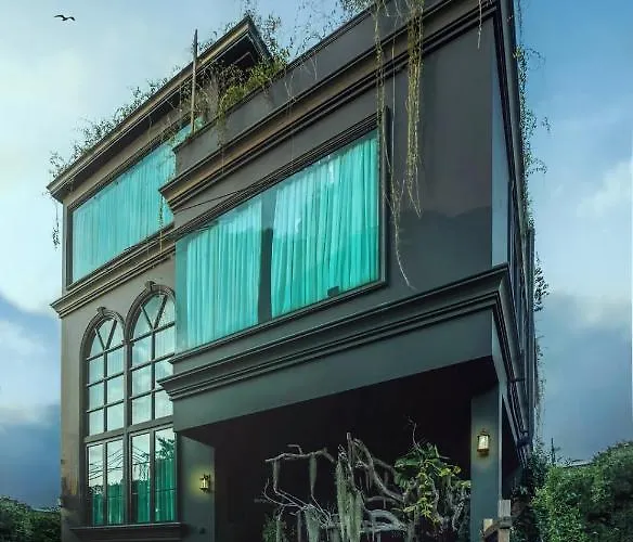 The Black Kingdom - เดอะ แบล็ค คิงดอม