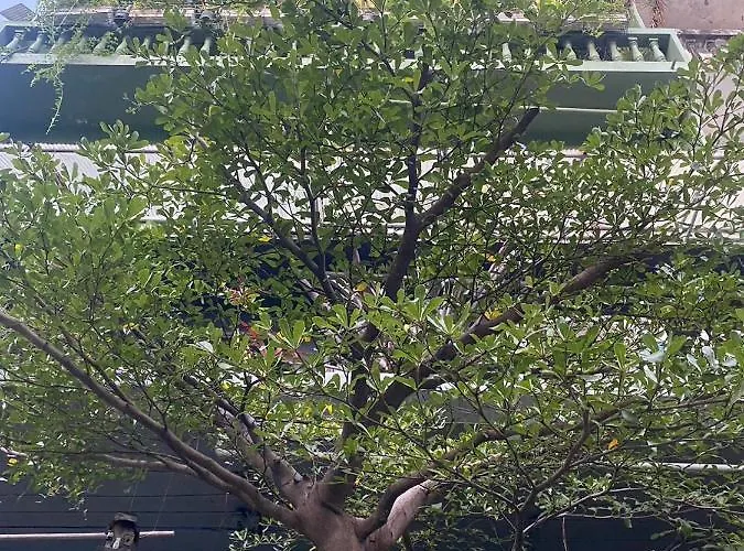Nesuto Hostel Ramkamhaeng 52