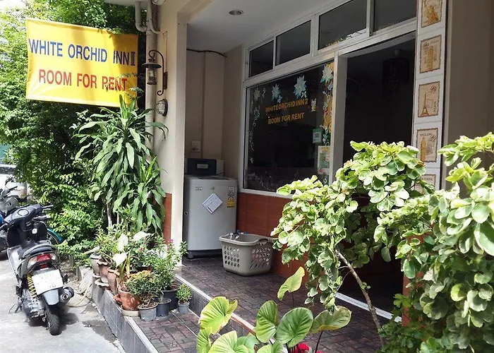 White Orchid Inn II