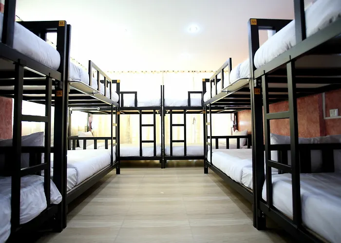 Thai Cat Hostel