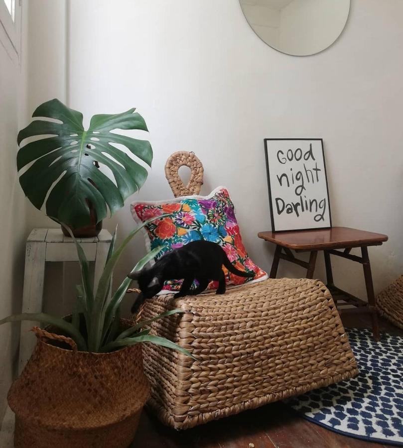 Homestay Sla House