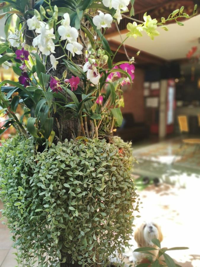 Tavee Bangkok