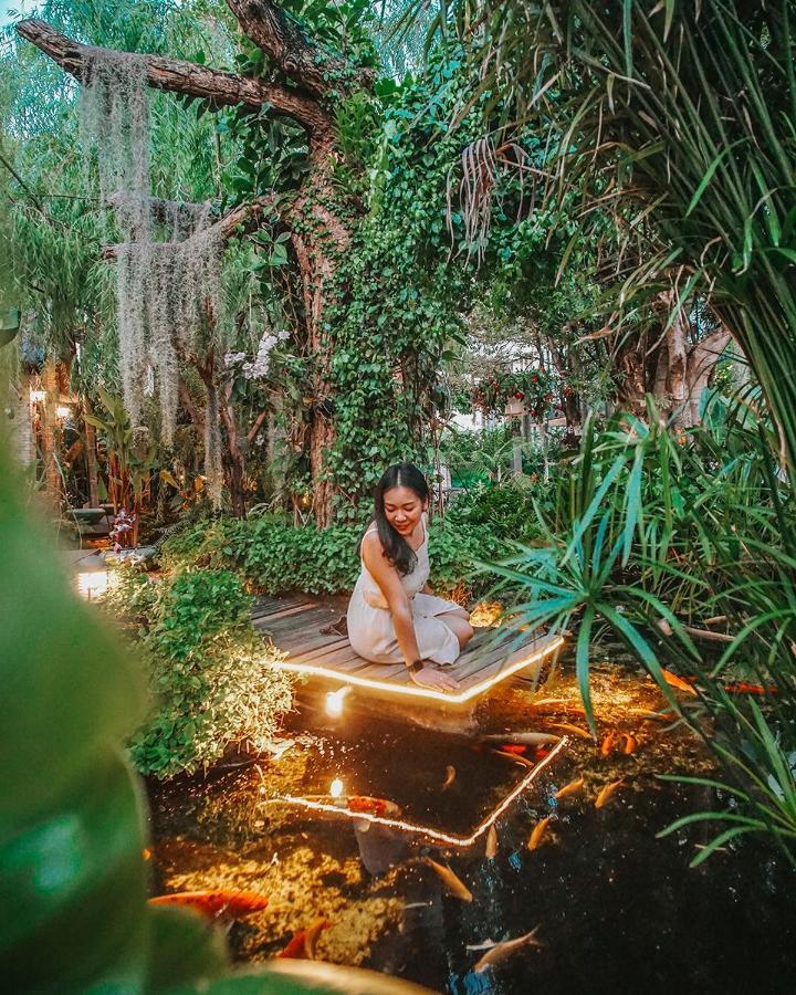 Oasis