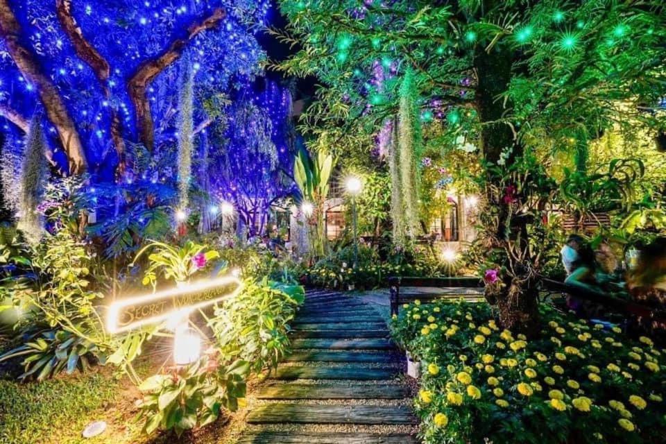 Oasis 3*