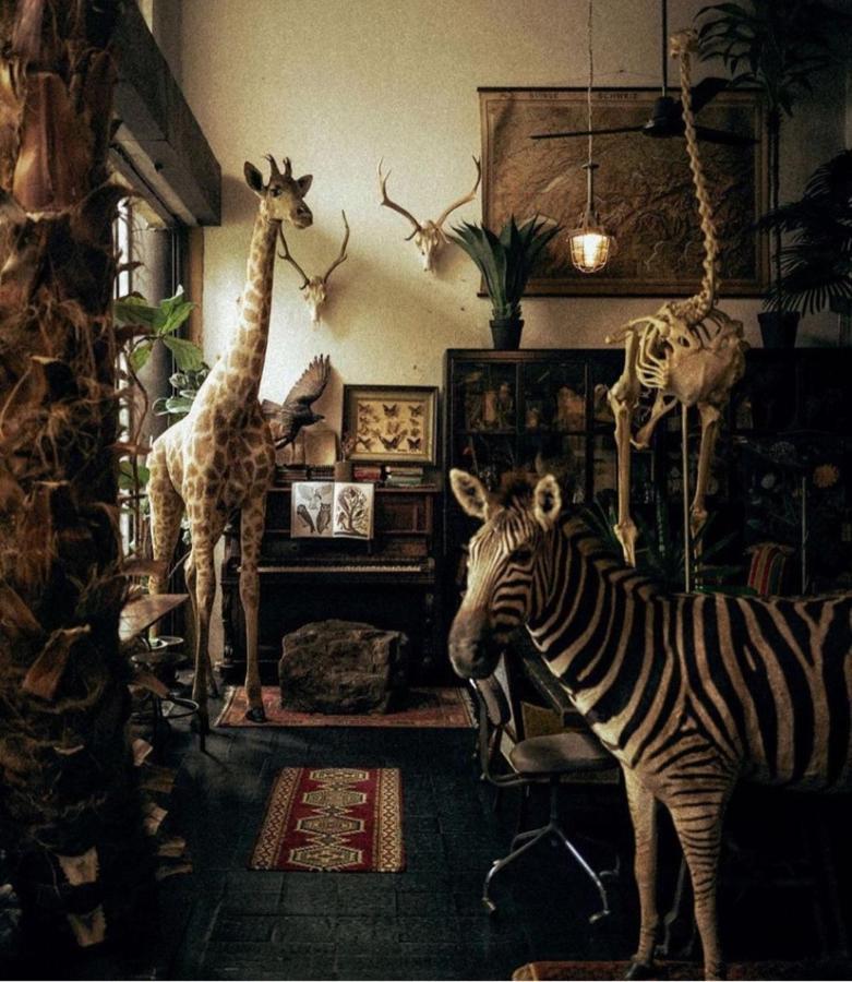 The Mustang Nero Bed & Breakfast Bangkok