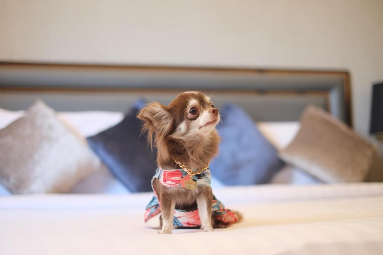 Grand Asoke Suites Boutique Residence