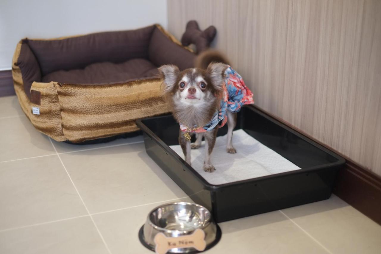 Hotel Grand Asoke Suites Boutique Residence Bangkok