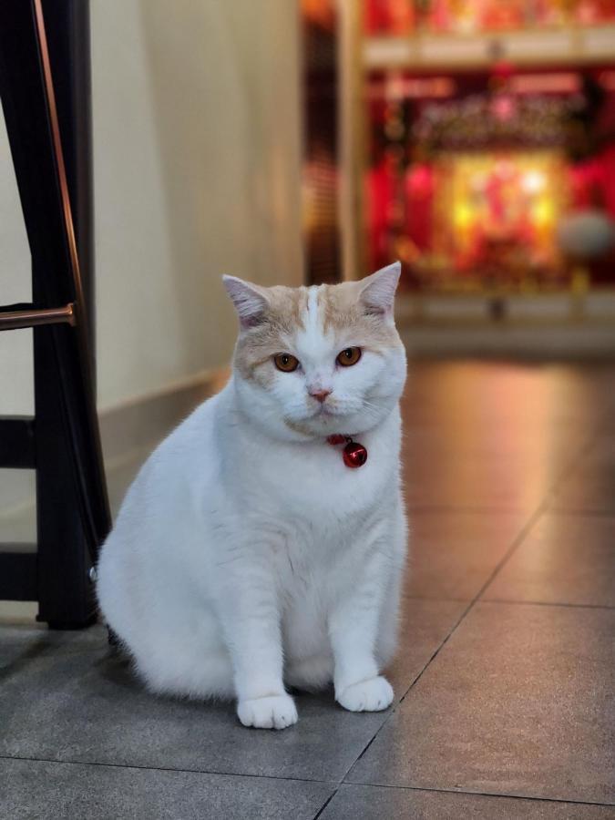 Double D & Cafe Bangkok