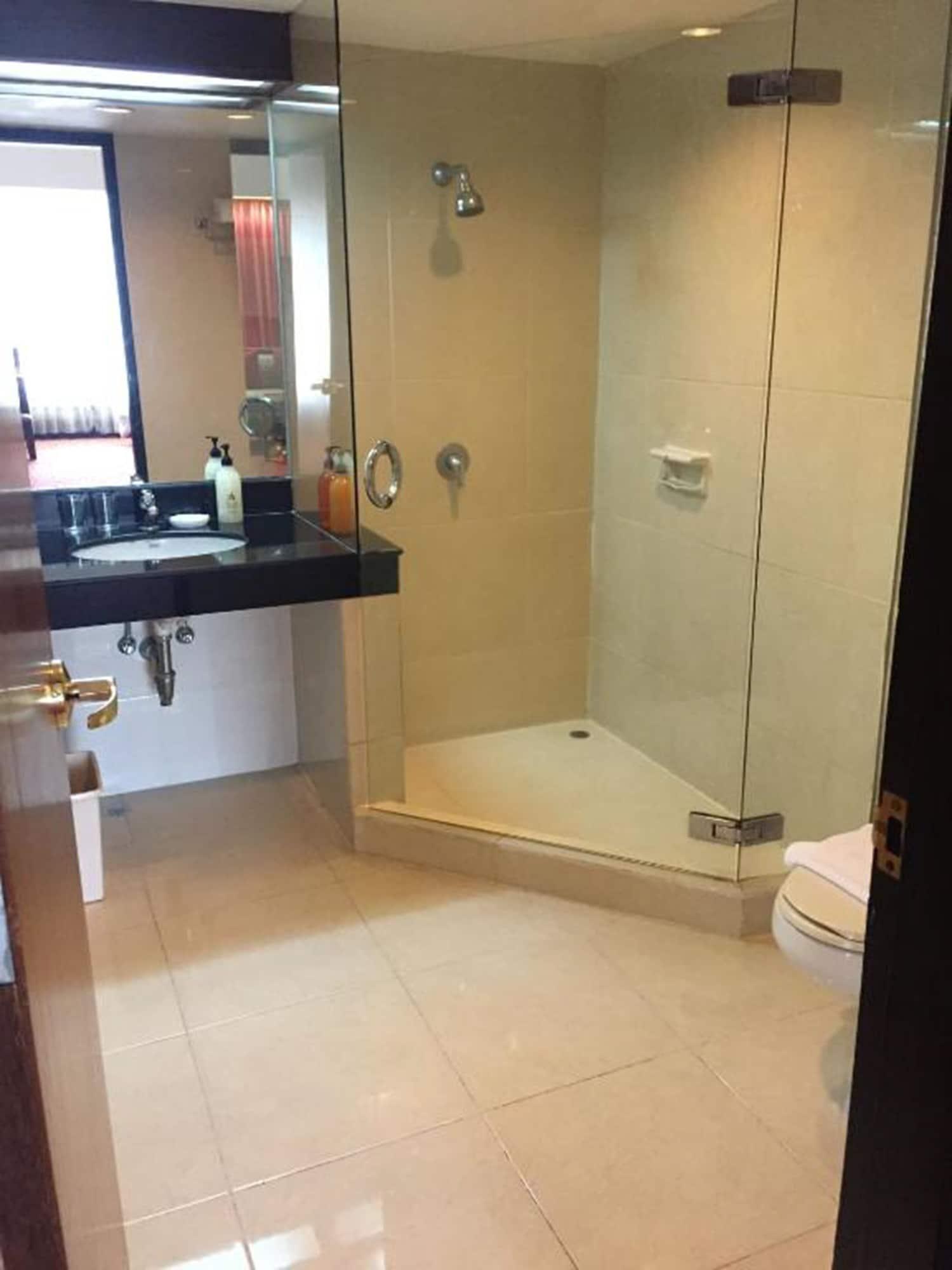 Hotel Indra Regent