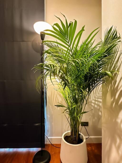 Villa 1897summer 曼谷中心7卧asok&thong Lor800平米海天别墅 *