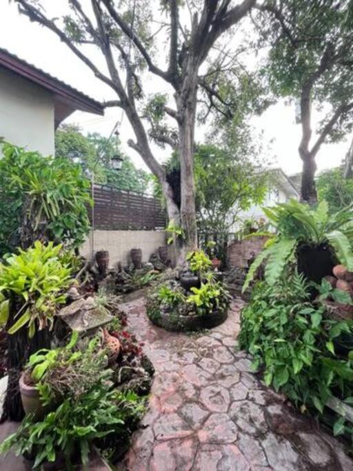 Pangsapuri 曼谷独栋lat Phrao精品别墅