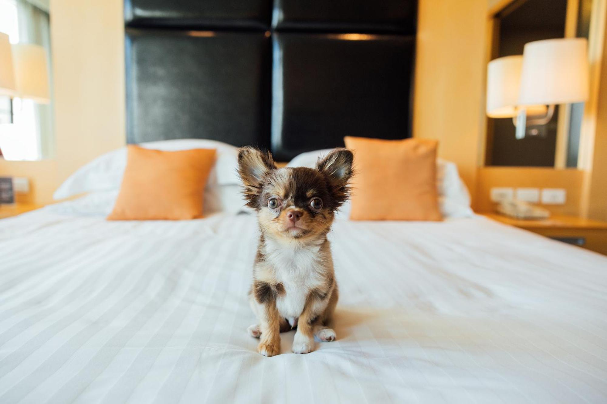 Hotel Sora & Sukhumvit