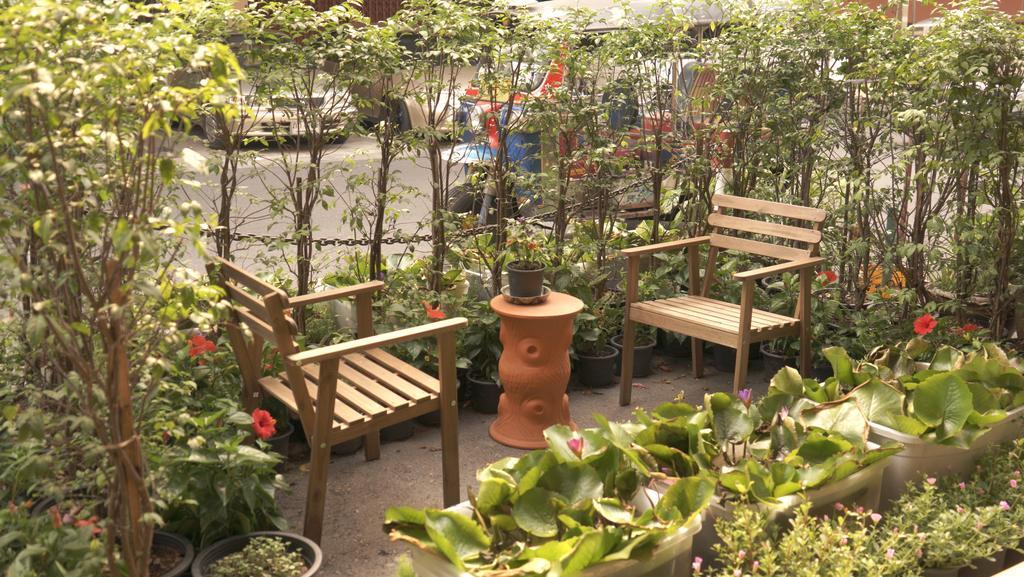 Tiger Lily Hostel Bangkok