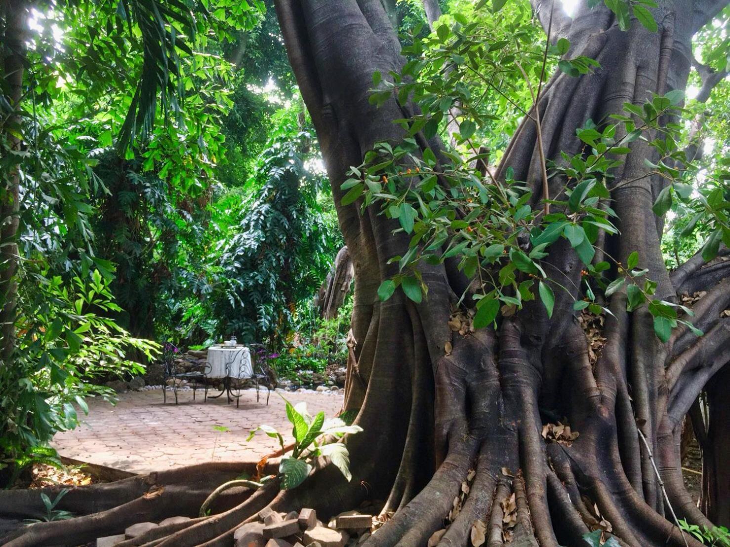 Cozycomo Bangkok
