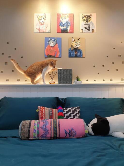 Double Studio, Private Bath & Balcony, Shared Kitchen With Local Family By Pillows & Purrs *
