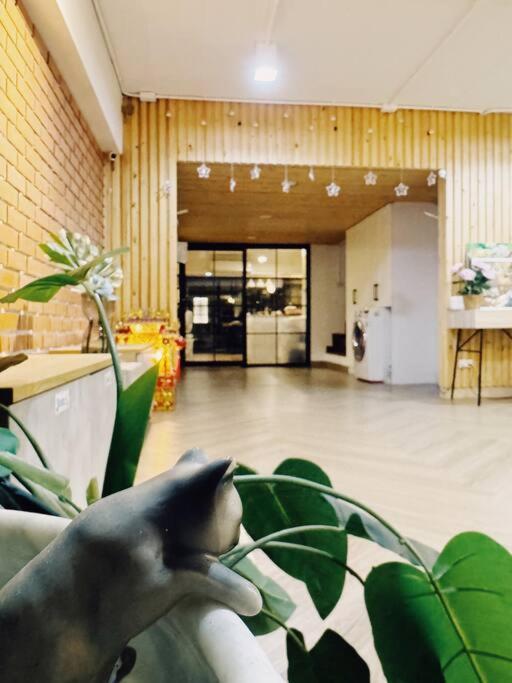 Apartment Double Studio, Private Bath & Balcony, Shared Kitchen With Local Family By Pillows & Purrs