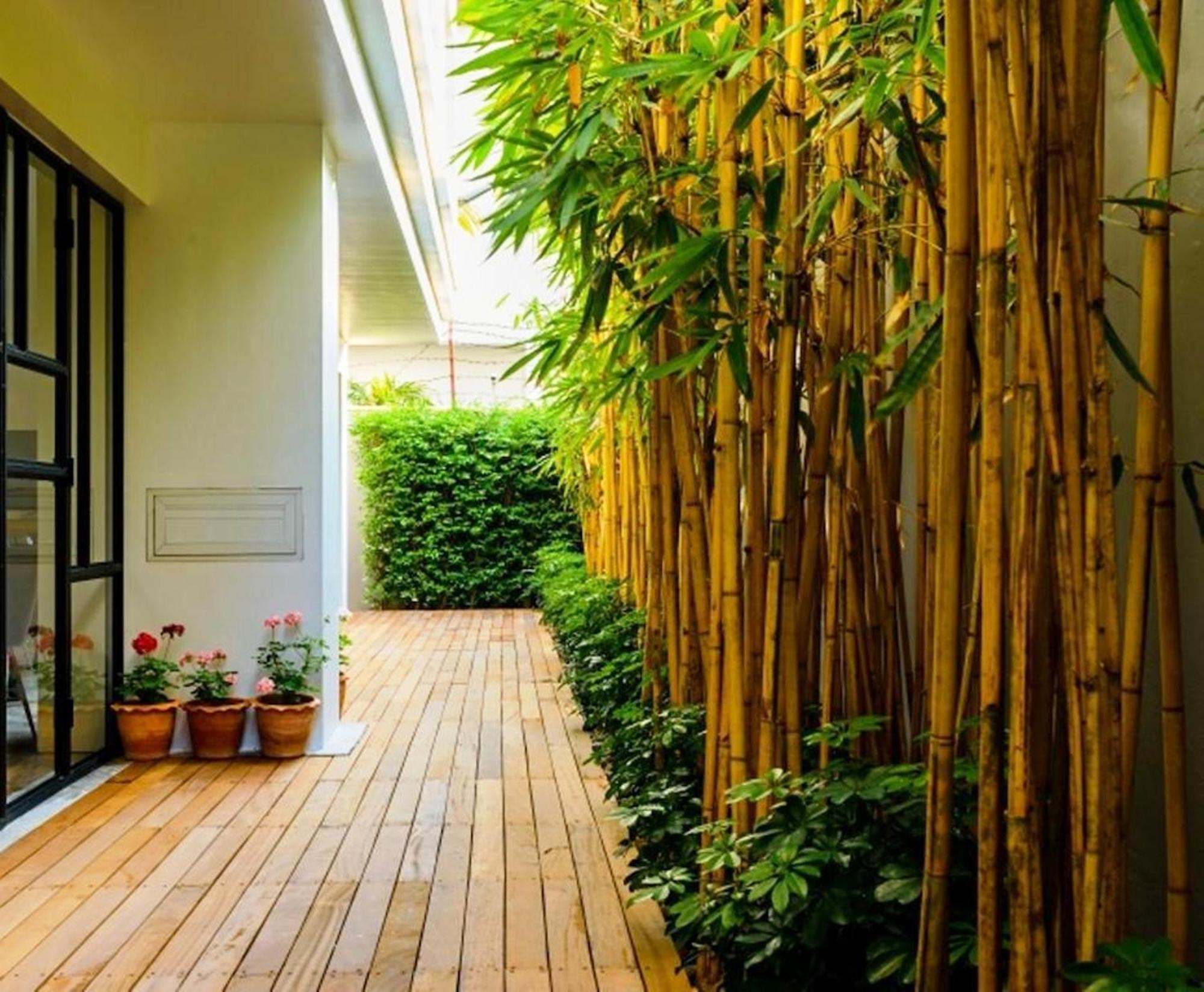 Uma Bangkok