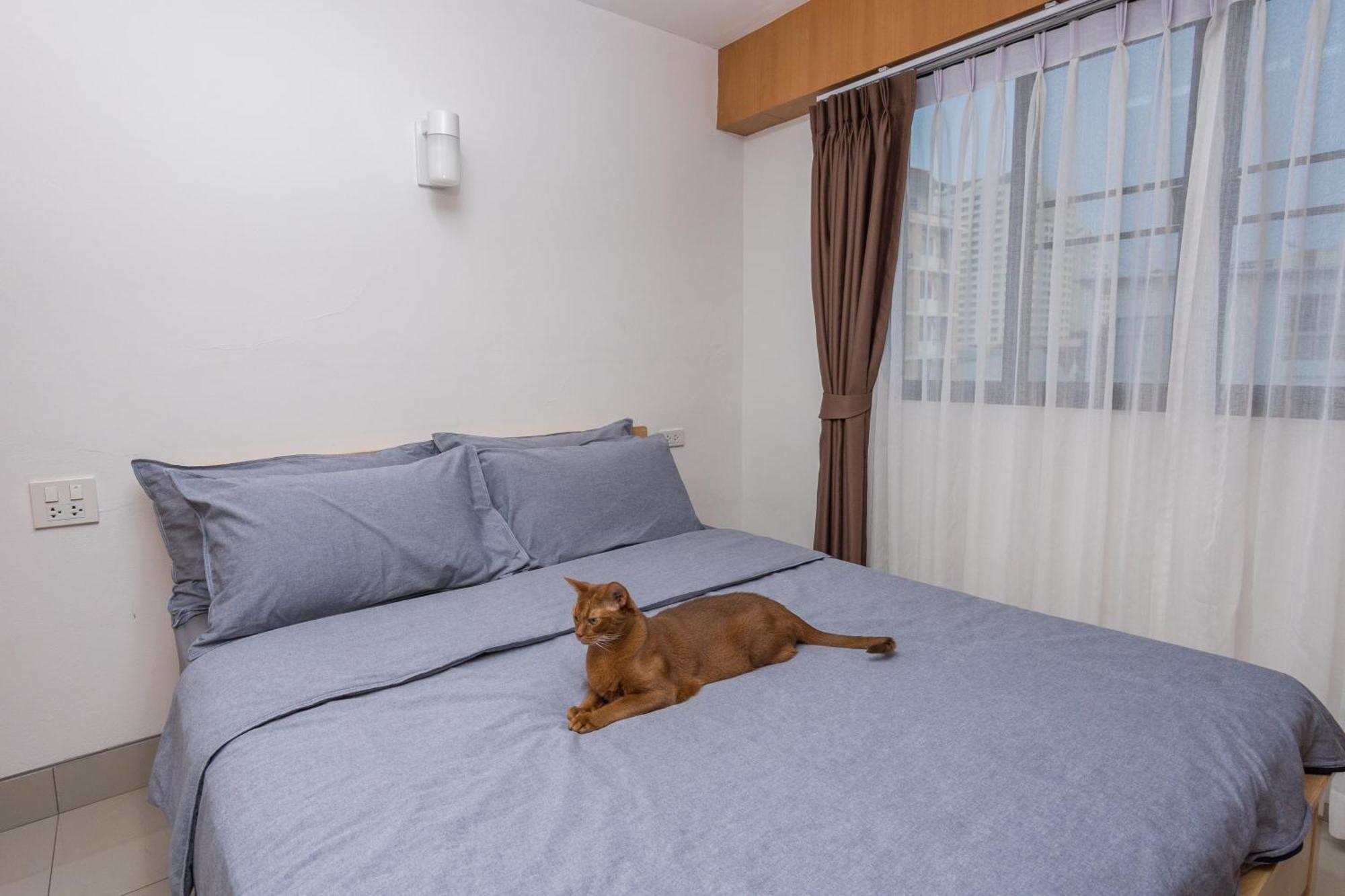 Hotel Homies Ratchada 3*