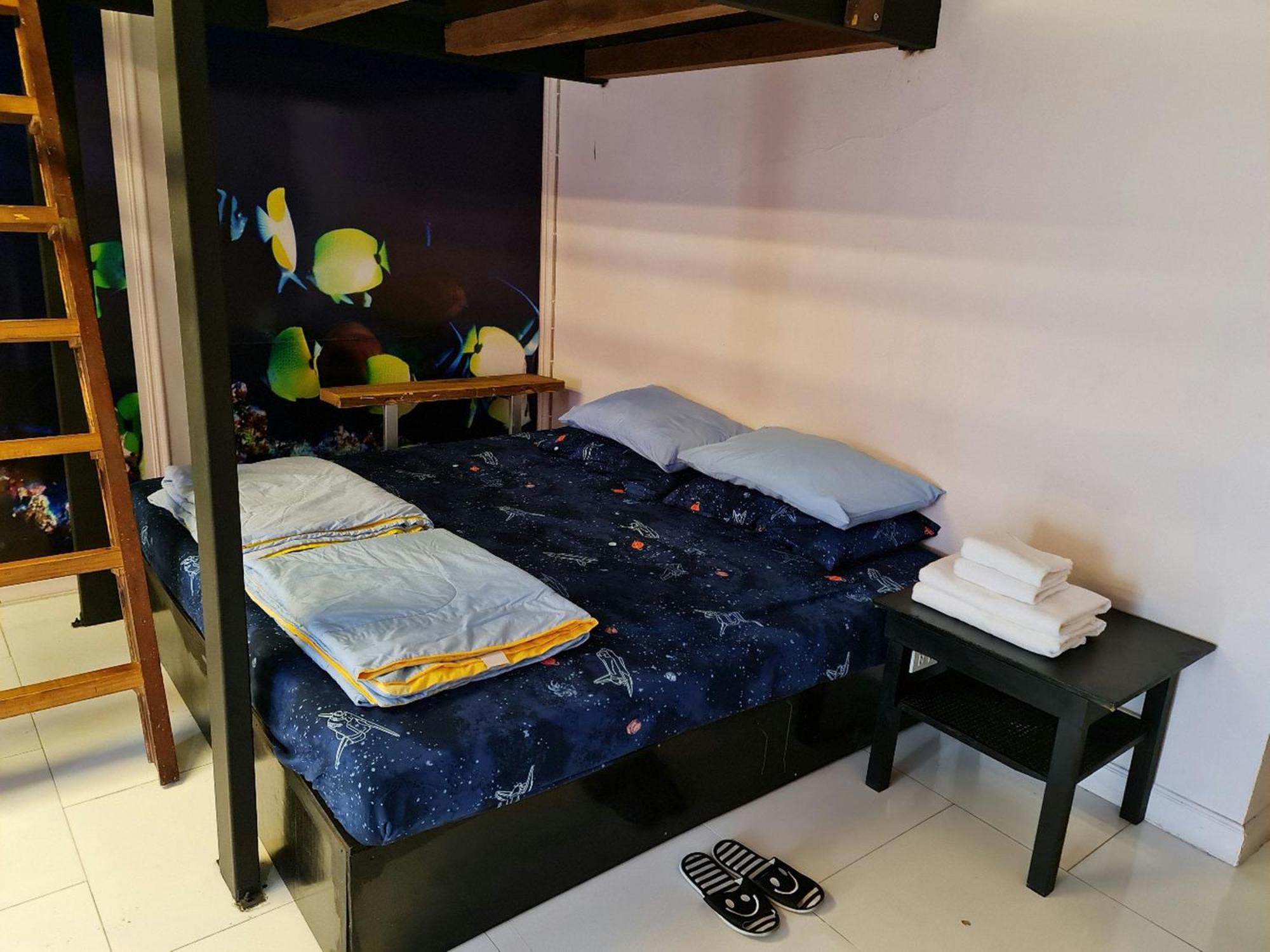 Hostel Ddm House