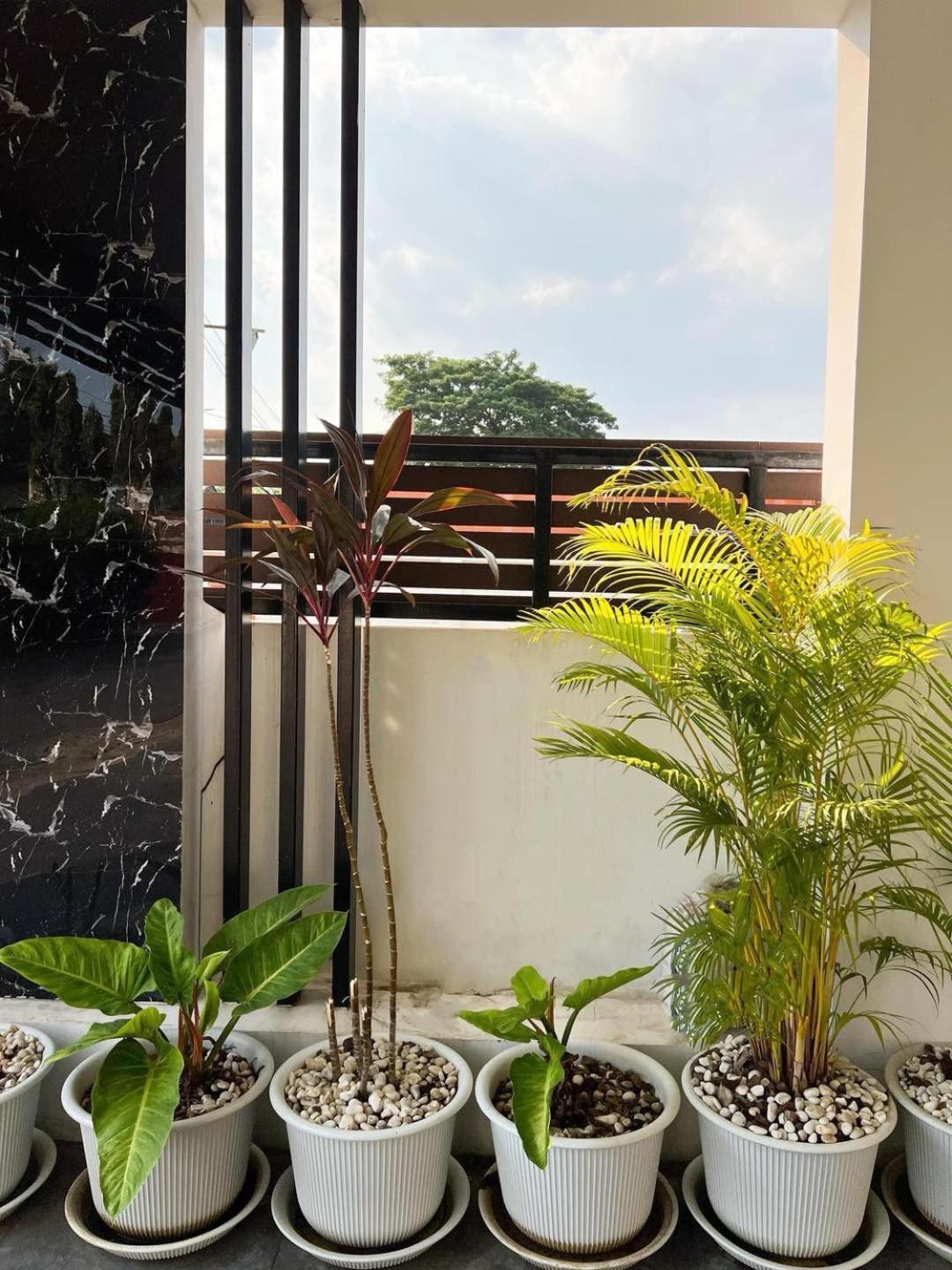 Villa House