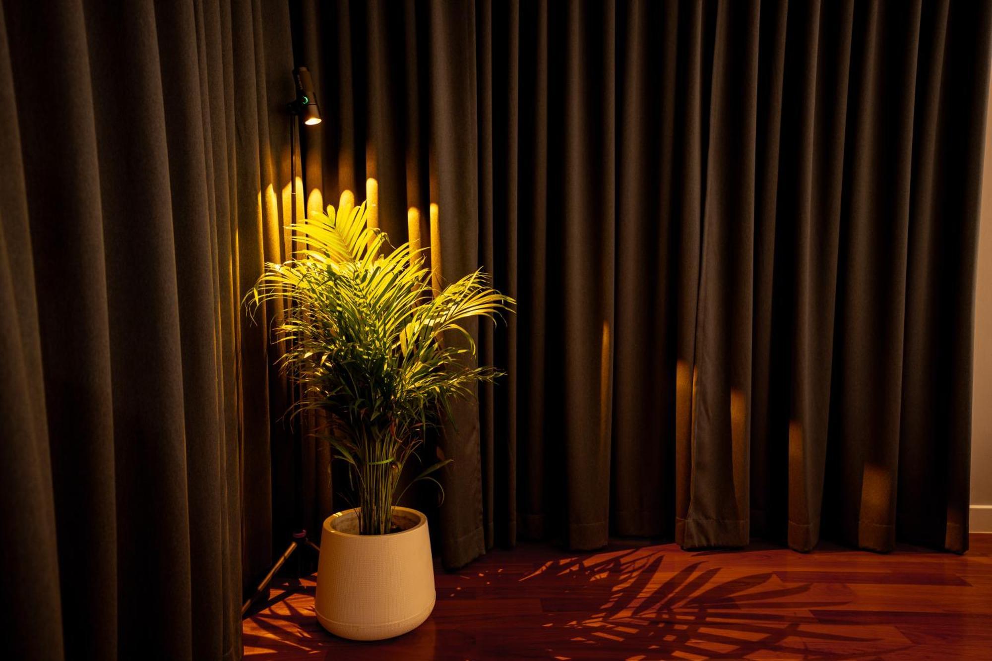 944summer Villa曼谷中心asok&tong Lor800海天别墅 Bangkok