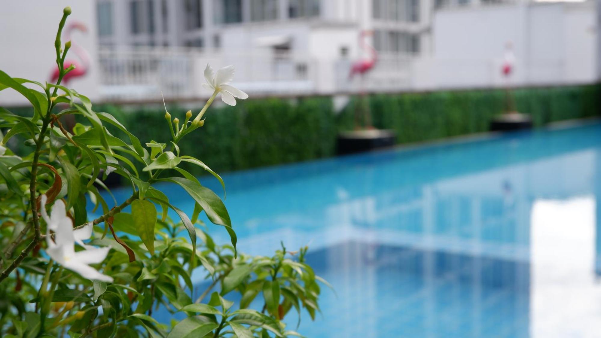 18 Aparthotel 4*