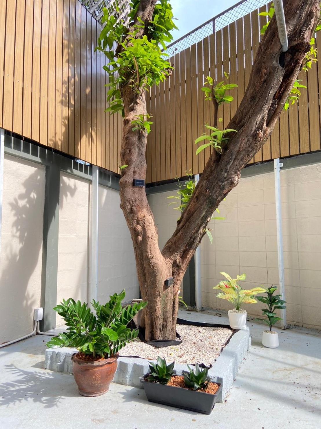 Holiday home 3 Brothers House Ekkamai