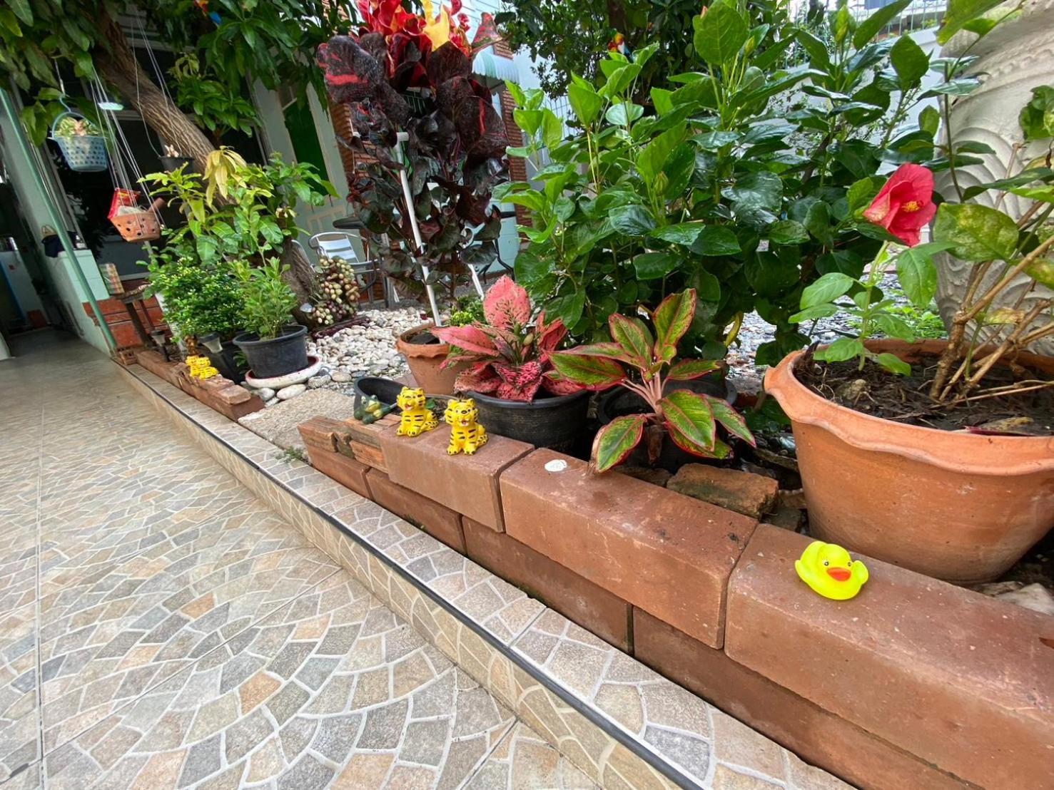 Hostel Garden
