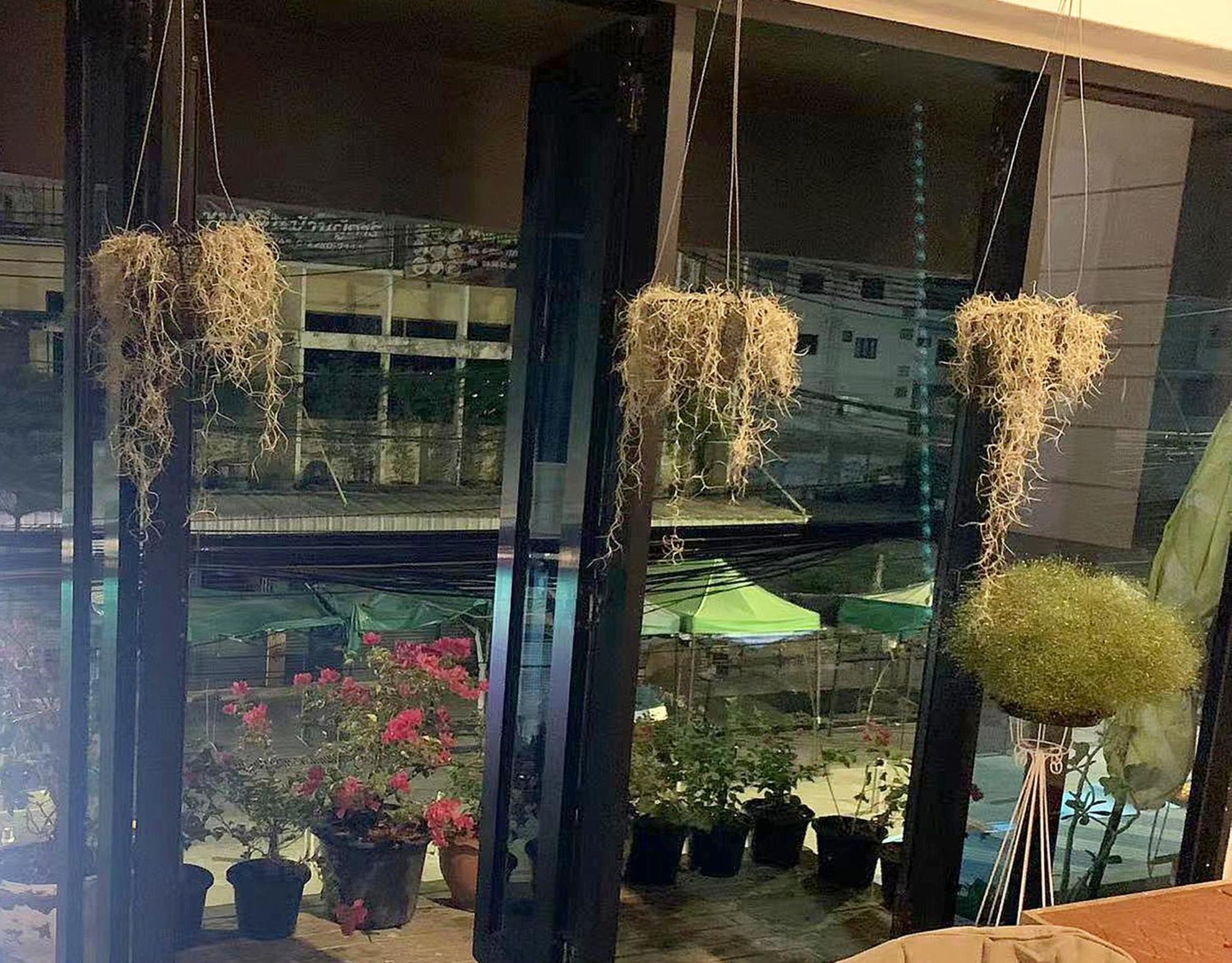 Susu Khaosan 5* Bangkok