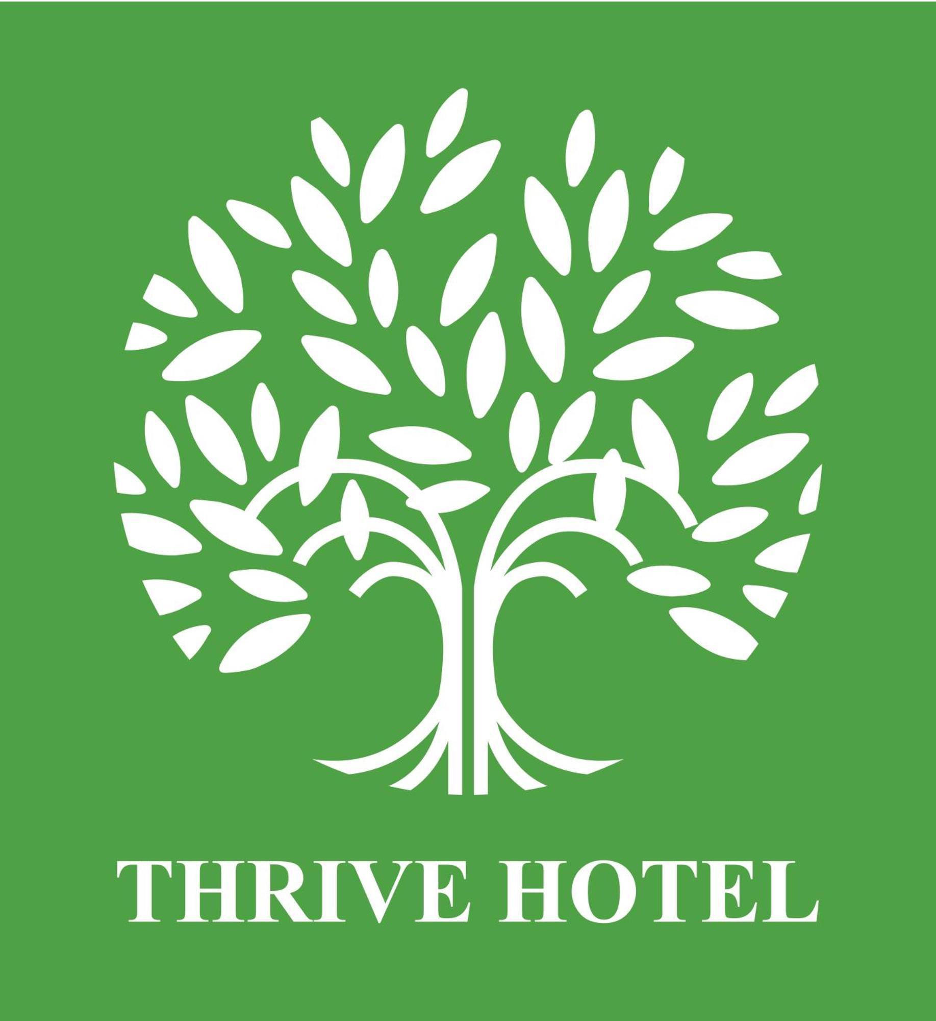 Hotel Thrive 3*