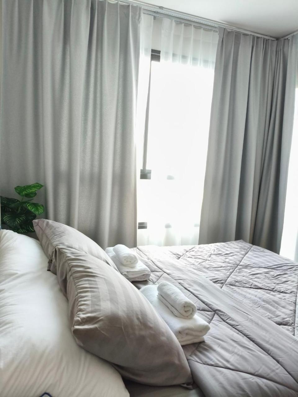 Apartment The Cozy Nest By Fkate *