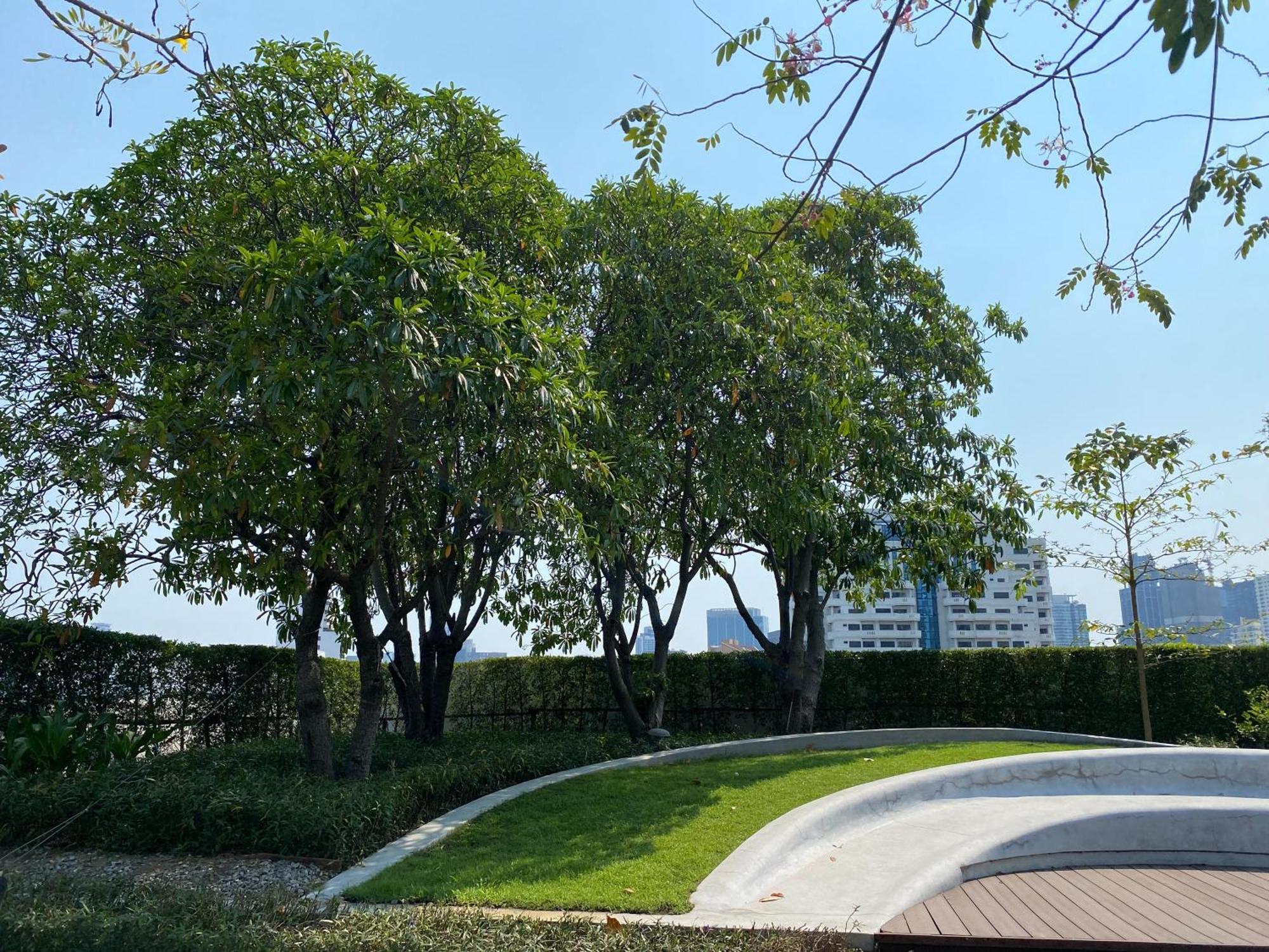 Ceil By Sansiri Bts Ekamai Shuttle To Bts Ekamai , Gateway Mall , Major Cineplex Mid City. Great Place To Explore