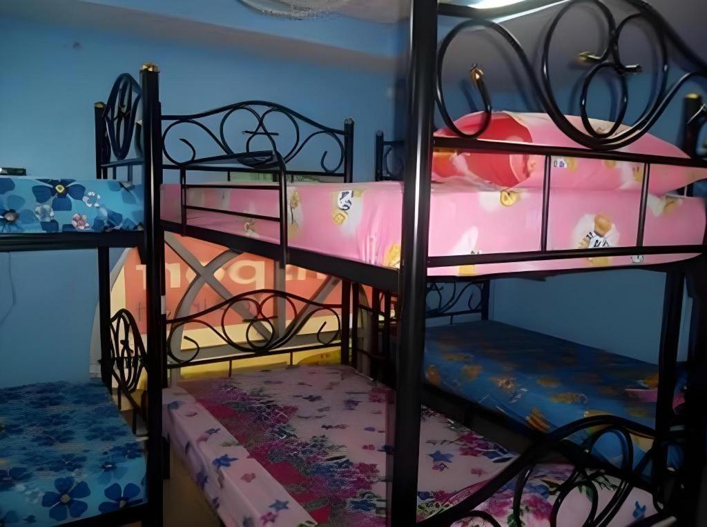 Hostel Centaur *