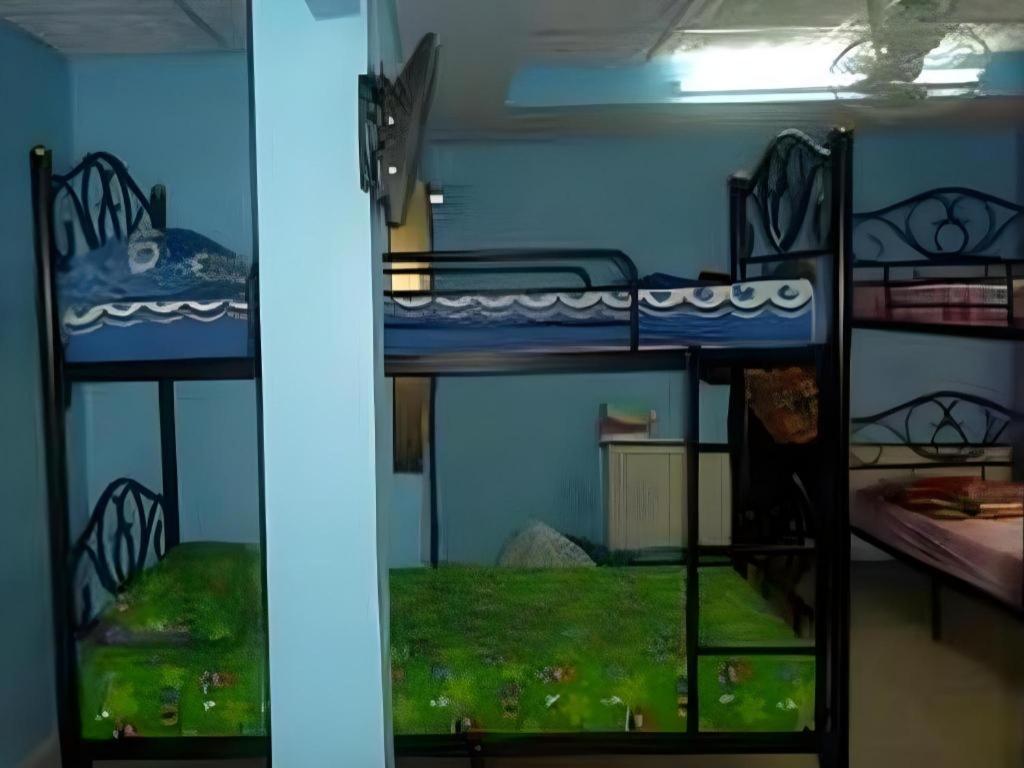 Hostel Centaur *