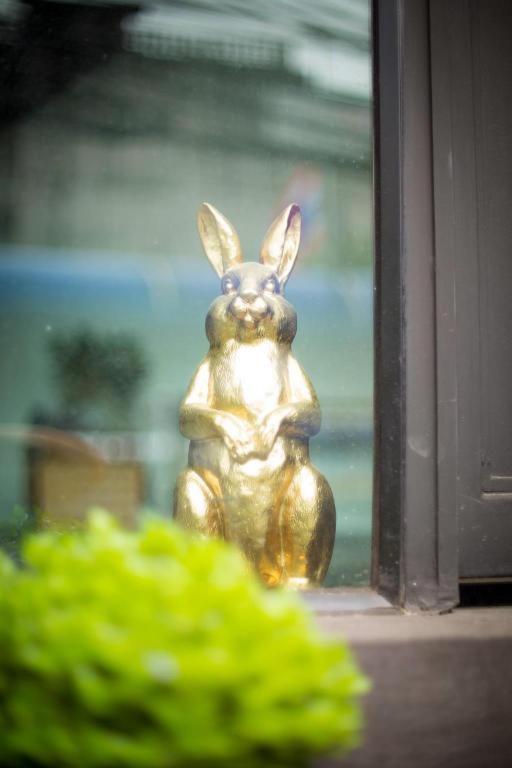 The Rabbit's Hole